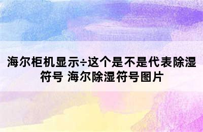 海尔柜机显示÷这个是不是代表除湿符号 海尔除湿符号图片